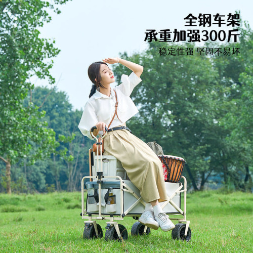 戶外露營推車可折疊戶外手推野餐車營地拖車拉桿小拉車桌板野營