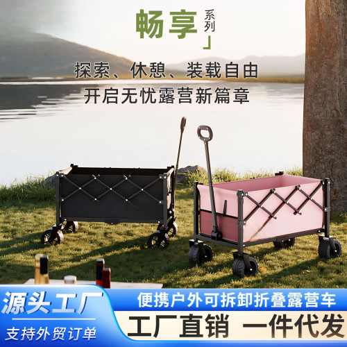 戶外露營車小推車可攜式折疊移動擺攤專用車大號露營營地車