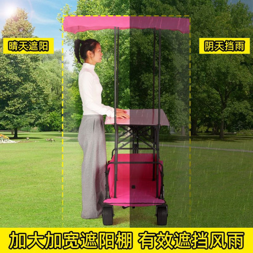 加厚加長可攜式拖鬥露營車擺攤車可折疊萬能小推車帶遮陽棚野營車