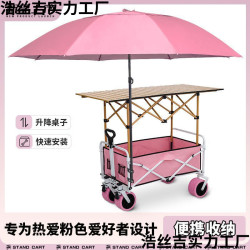 新款擺攤小推車地攤折疊桌露營烤腸移動野餐夜市戶外露營車遮陽傘