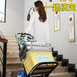 學生行李拉桿車小拖車行李箱拉書推車折疊可攜式爬樓梯手拉車