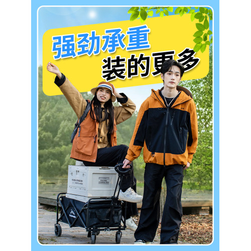 戶外露營手推車擺攤車營地車野營可折疊野餐旅行小拖車快遞車越野