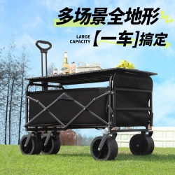 露營車大容量可折疊擺攤專用小推車可後開可攜式家用兒童可躺拖車