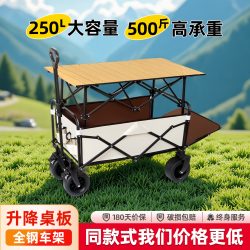 戶外露營車折疊拖車野餐旅行營地車大號手推車兒童可躺可攜式小