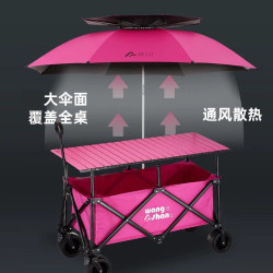 露營野餐車壽司三明治擺攤車脆皮腸餐車加大車棚擺攤車