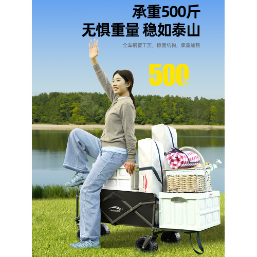 戶外露營車營地推車拖車折疊擺攤小推車兒童可躺手拉旅行野營用品