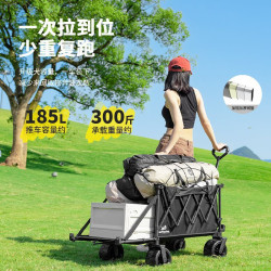 戶外折疊推車旅行營地野營小孩拖車野餐手拉聚攏擺攤露營推車