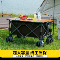 戶外露營車小推車折疊擺攤小推車可攜式擺攤車露營營地車快遞車拉車