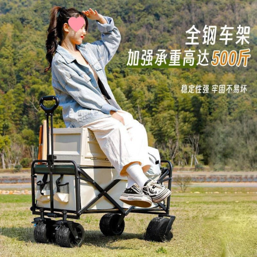 坦克輪戶外露營地擺攤小推野餐車可攜式可折疊家用霤娃釣魚車