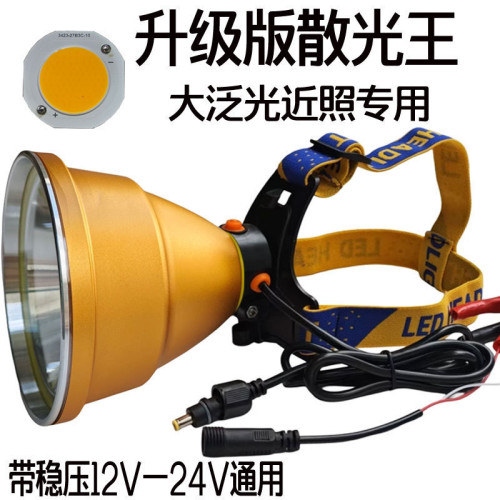 12v散光頭燈led強光超亮遠射大光圈抓黃鱔螞蟥黃光外接夾電瓶