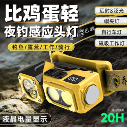 頭燈釣魚專用強光感應夜釣登山夜跑超亮防水充電頭戴式迷你手電筒