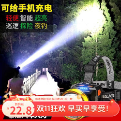 德國進口頭燈強光遠射充電防水超亮頭戴式夜釣燈礦燈超長續航