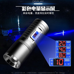 夜釣燈紫光台釣亮魚燈大功率拉餌充電藍光手電筒強光夜光釣魚燈