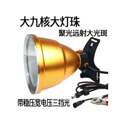超亮12v頭燈led散光強光大光斑聚光遠射釣魚黃光直流電瓶外接燈