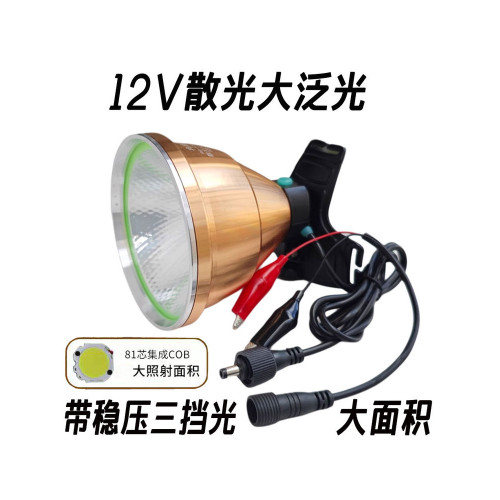 超亮12v頭燈led散光強光大光斑聚光遠射釣魚黃光直流電瓶外接燈