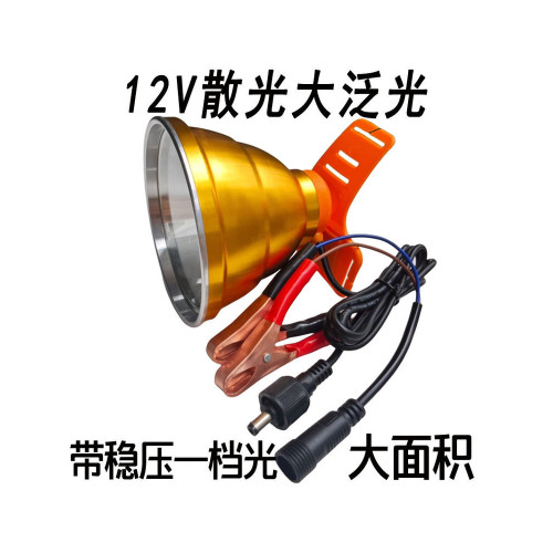 超亮12v頭燈led散光強光大光斑聚光遠射釣魚黃光直流電瓶外接燈