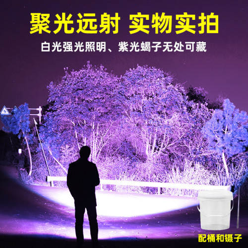 強光大光圈蠍子燈照蠍可充電頭燈紫光養蠍頭戴式超亮超長專用頭燈