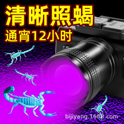 紫光蠍子燈專用頭戴式手電照蠍子超長續航大功率紫光燈雙光燈