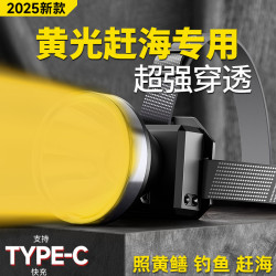 -黃光頭燈趕海照魚專用燈照黃鱔強穿透力強光超亮充電頭戴式照明