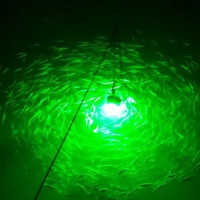 12水下誘魚燈集魚燈冰釣公魚海釣魷魚鮁魚燈夜釣翹嘴
