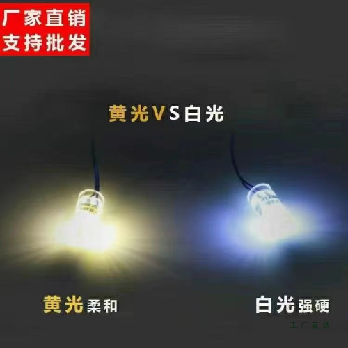 強光12V24V led下水燈捕撈照抓魚防水集魚誘魚燈抄網桿燈超亮省電