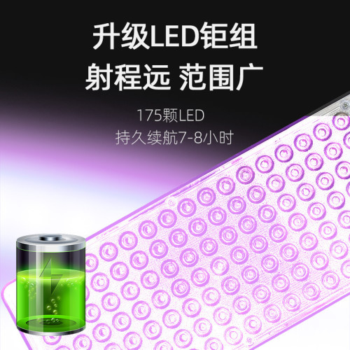 175顆 紫光燈 手提式蠍子燈  LED可攜式多功能充電式豆蟲燈