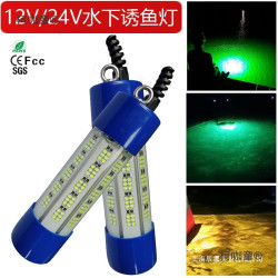 池沼公魚水下誘魚燈集魚燈12v24v220vled水下燈水底燈帶魚麥太保