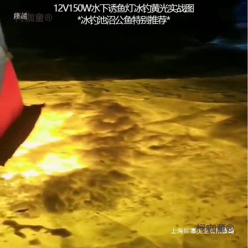 池沼公魚水下誘魚燈集魚燈12v24v220vled水下燈水底燈帶魚麥太保
