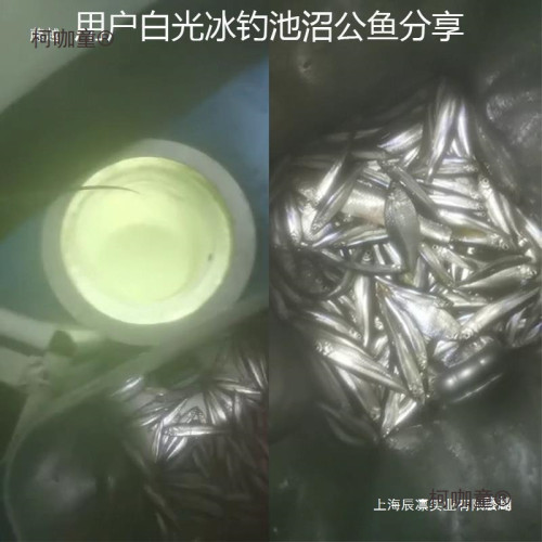 池沼公魚水下誘魚燈集魚燈12v24v220vled水下燈水底燈帶魚麥太保