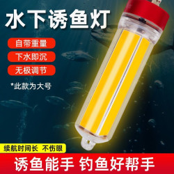 水下誘魚燈公魚誘魚燈冰釣燈大功率船釣燈黃光燈綠光筏釣燈