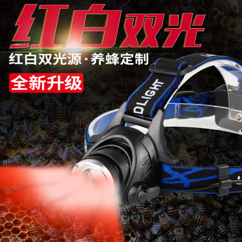 充電紅光頭燈養蜂查看蜜蜂頭戴式手電筒感應調焦紅白雙色光
