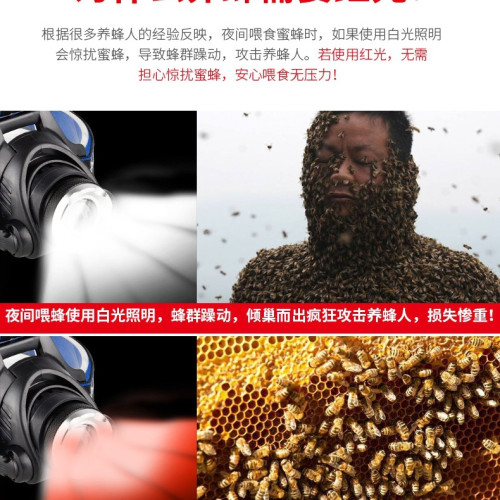充電紅光頭燈養蜂查看蜜蜂頭戴式手電筒感應調焦紅白雙色光
