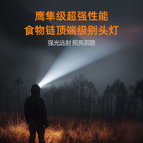 沃爾森強光頭燈充電超亮超長續航夜釣魚用登山徒步頭戴式感應燈