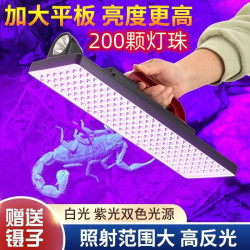 照蠍子燈強光亮充電紫光燈手提式長續航大平板豆蟲燈