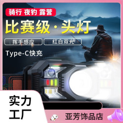 強光感應頭燈夜釣魚戶外可充電超亮長續航頭戴式小手電筒鋰趙燭優
