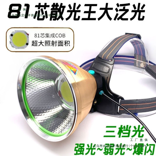 12v散光頭燈led強光超亮遠射大光圈抓黃鱔螞蟥黃光外接夾電瓶燈頭