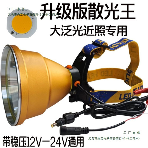 12v散光頭燈led強光超亮遠射大光圈抓黃鱔螞蟥黃光外接夾電瓶燈頭
