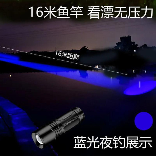 夜釣燈釣魚燈紫光台釣燈大功率USB可充電藍光手電筒強光誘魚