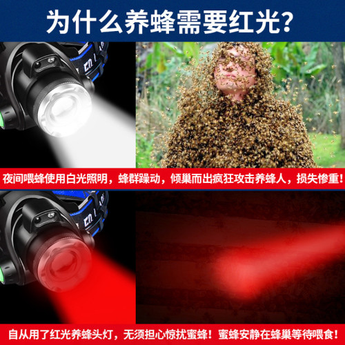 led紅光感應頭燈養蜂專用紅色強光可充電超亮變焦頭戴式超長續航 led紅光感應頭燈養蜂專用紅色強光可充電超亮變焦頭戴式超長續航
