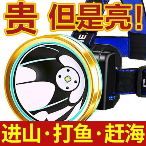 德國進口礦燈超長續航強光燈LED遠射可充電防水超亮頭戴式夜