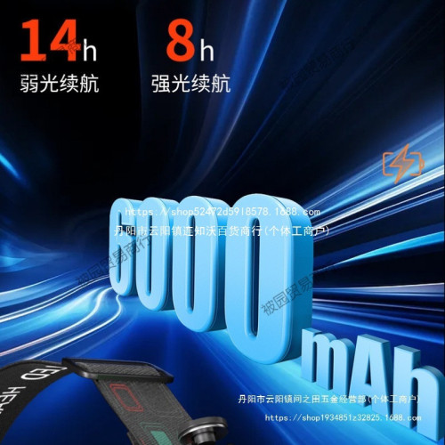 浦爾曼頭燈強光超亮充電頭戴式礦燈可變焦釣魚手電筒戶外遠射被園