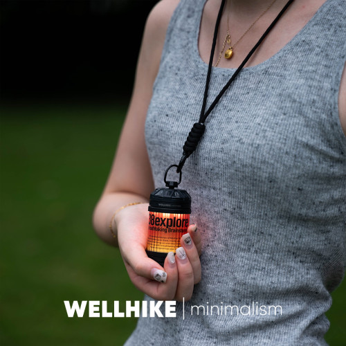 WELLHIKE戶外迷你夕照燈野營帳篷照明小巧可攜式氛圍幸運轉盤20燈