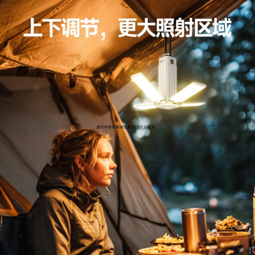 LEM露營燈超長續航戶外可攜式充電照明燈野營地天幕帳篷氛圍燈無