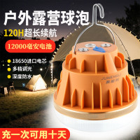 LED充電燈泡戶外夜市燈擺攤燈應急家用多功能照明營地帳篷燈野營