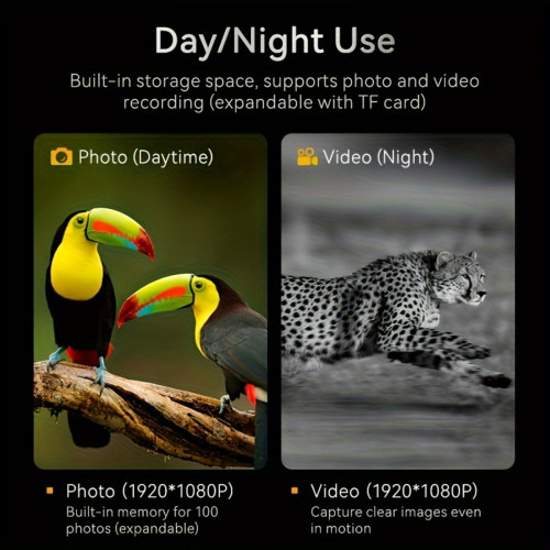 Night Vision Device for Camping Hunting Wildlife夜視儀野動物