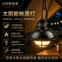 戶外可攜式露營燈懸掛氛圍吊燈USB充電家用照明燈帳篷燈氛圍