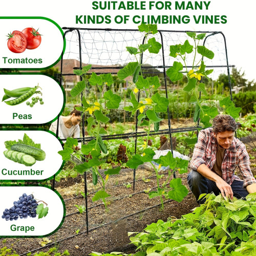 70inch Garden Trellis, Cucumber Trellis, Plant vegetable