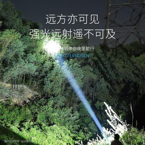 德規品質戶外照明手提燈充電超長續航可攜式防水強光室外工作燈