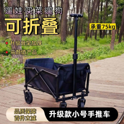 【大容量收納】迷你版買菜拉娃遛狗戶外可折疊露營小推車收納方便