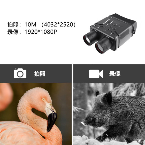 R6高清紅外線夜視儀雙筒戶外打野狩獵全黑拍照錄像望遠鏡晝夜兩用